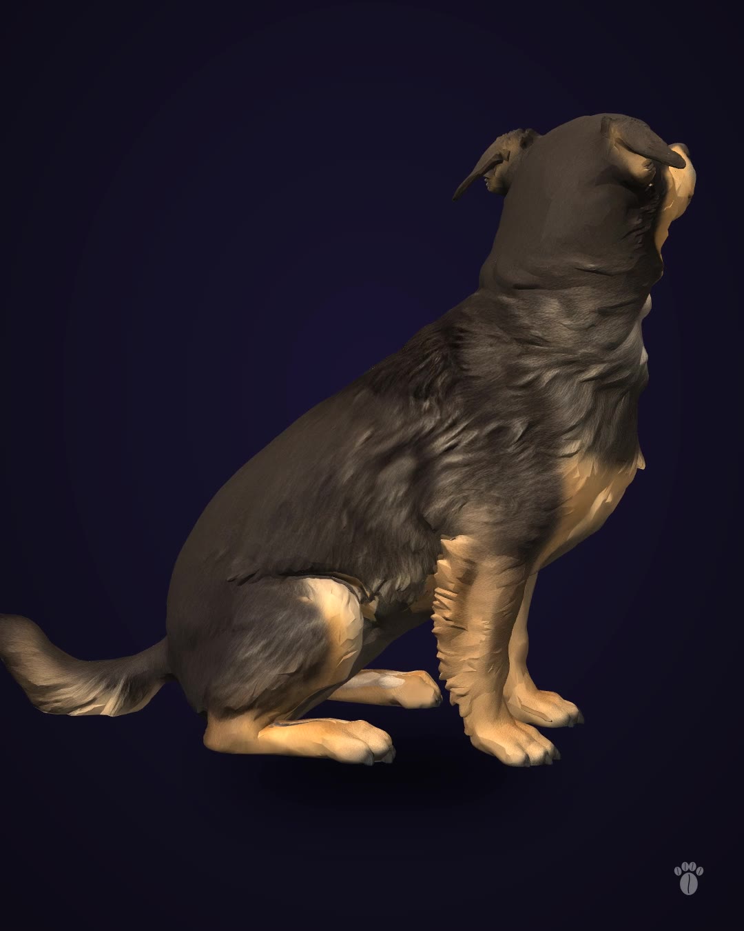 3D Model of Your Pet — 360° Video + 3D File