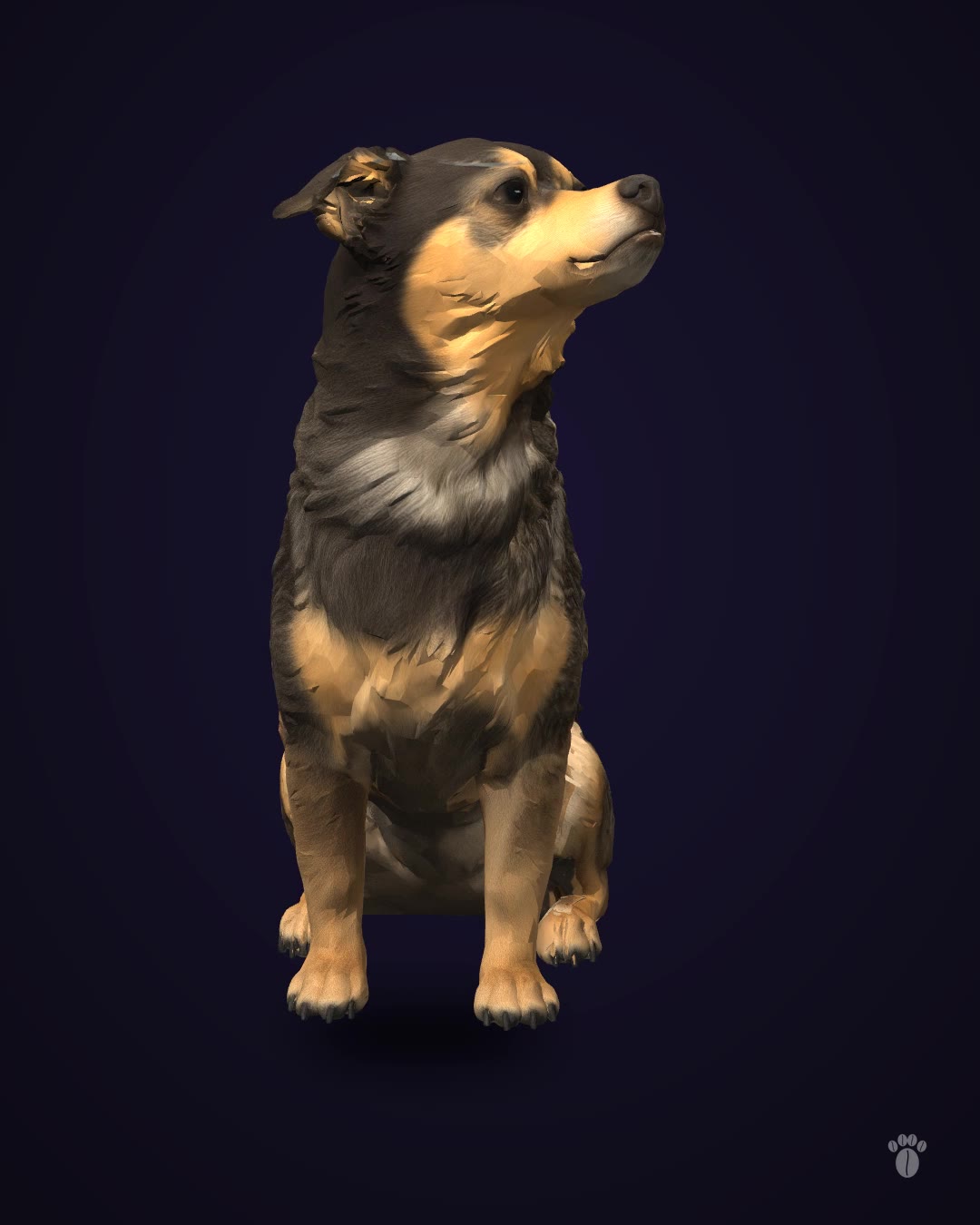 3D Model of Your Pet — 360° Video + 3D File