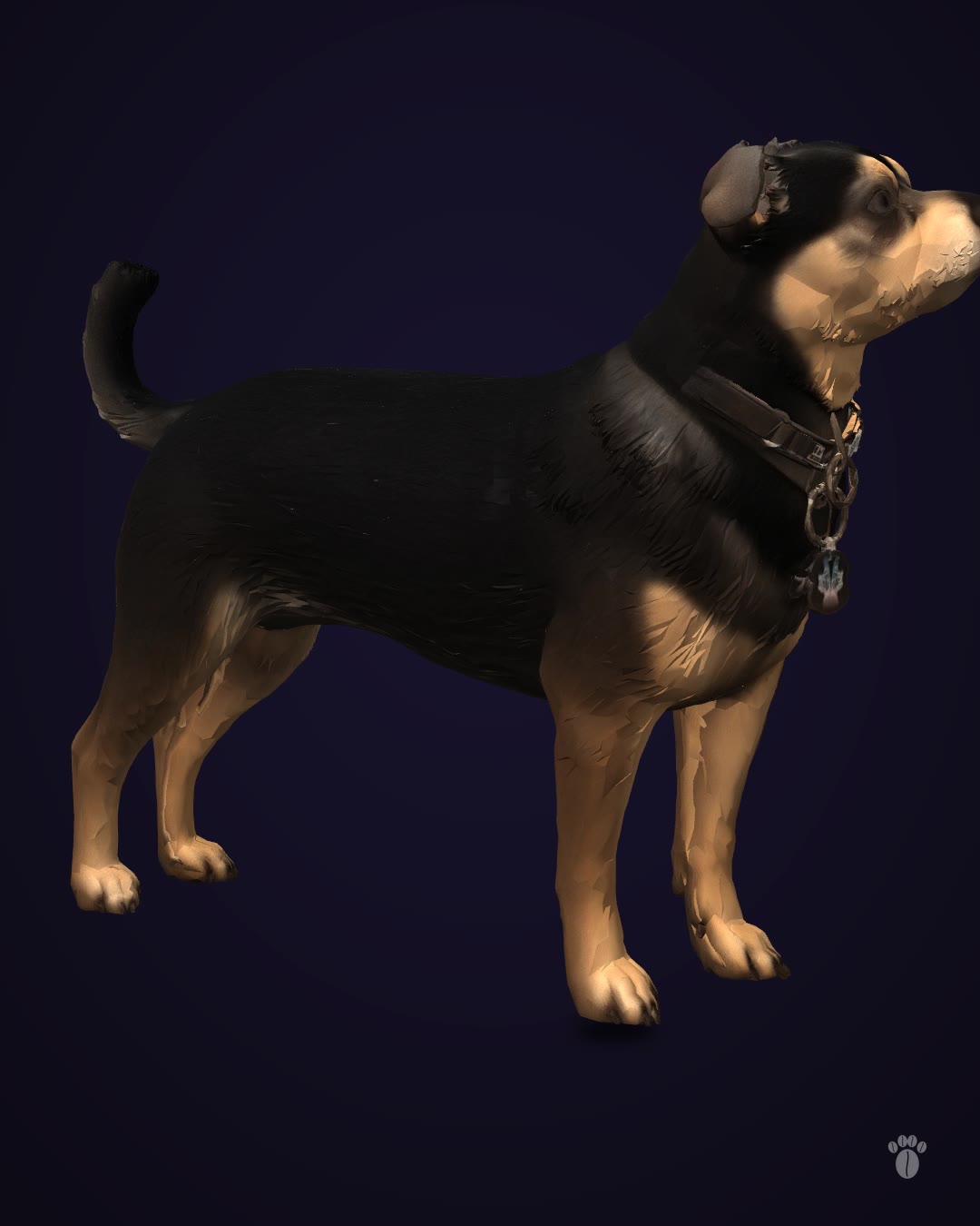 3D Model of Your Pet — 360° Video + 3D File