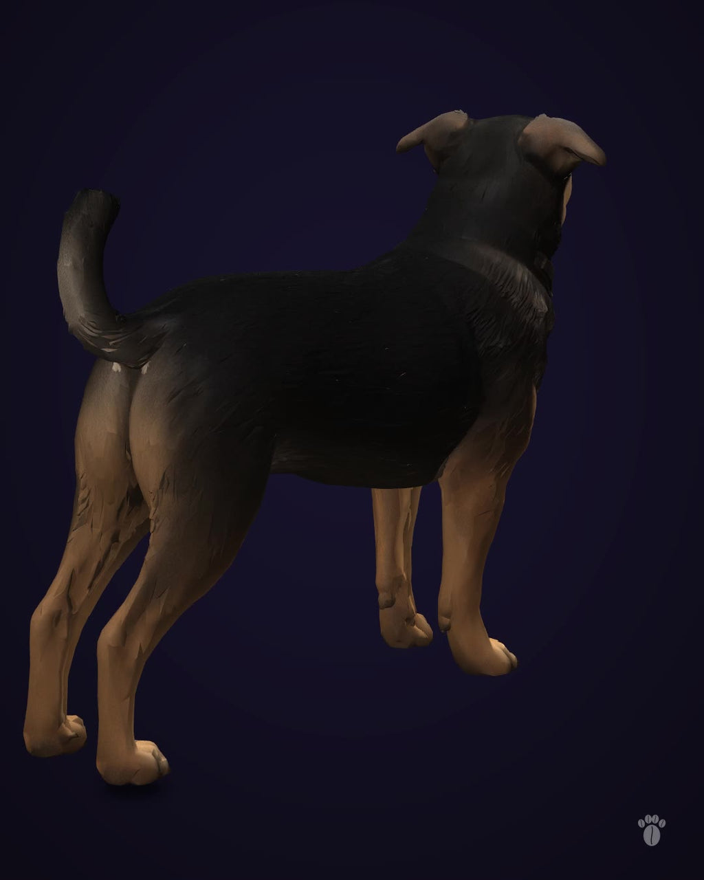 3D Model of Your Pet — 360° Video + 3D File